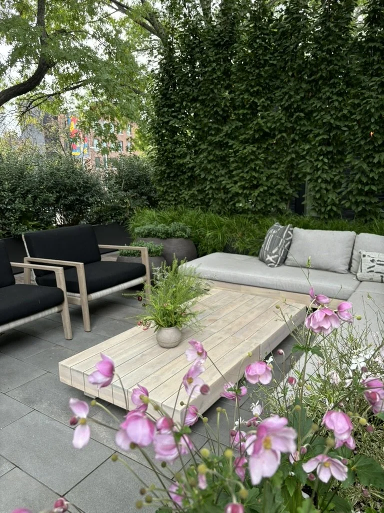 landscape design julie farris.jpeg