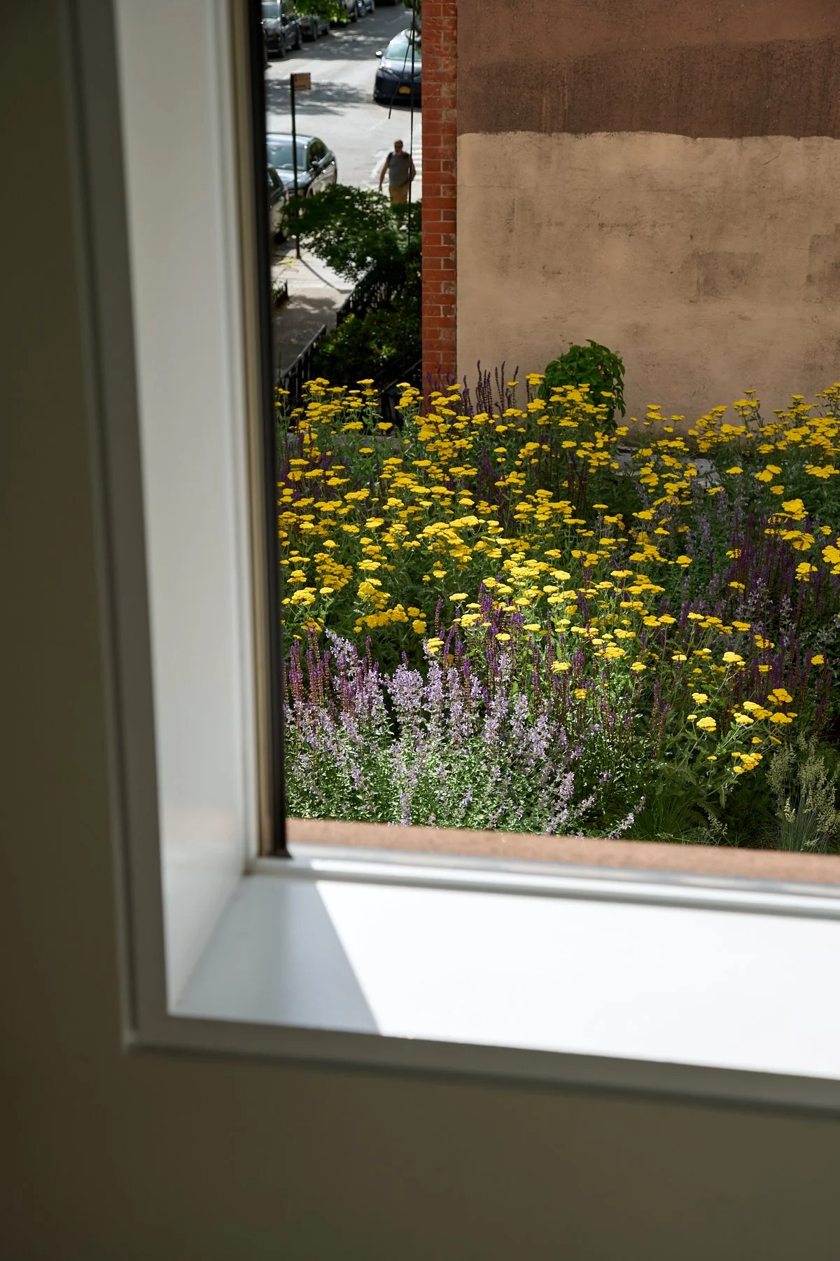 5_CobbleHillRooftopfromrearwindow.jpg
