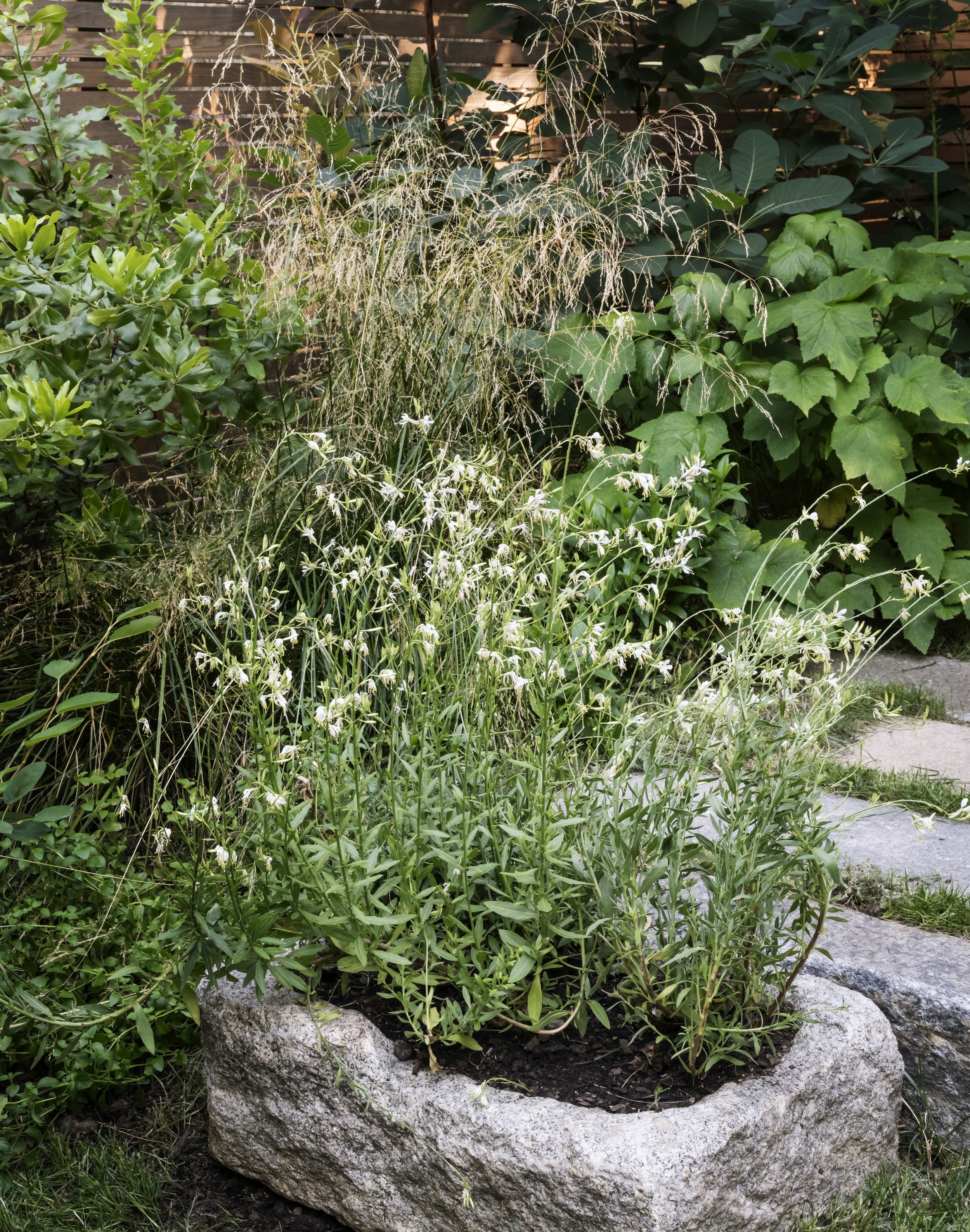 Townhouse Gardens.jpeg