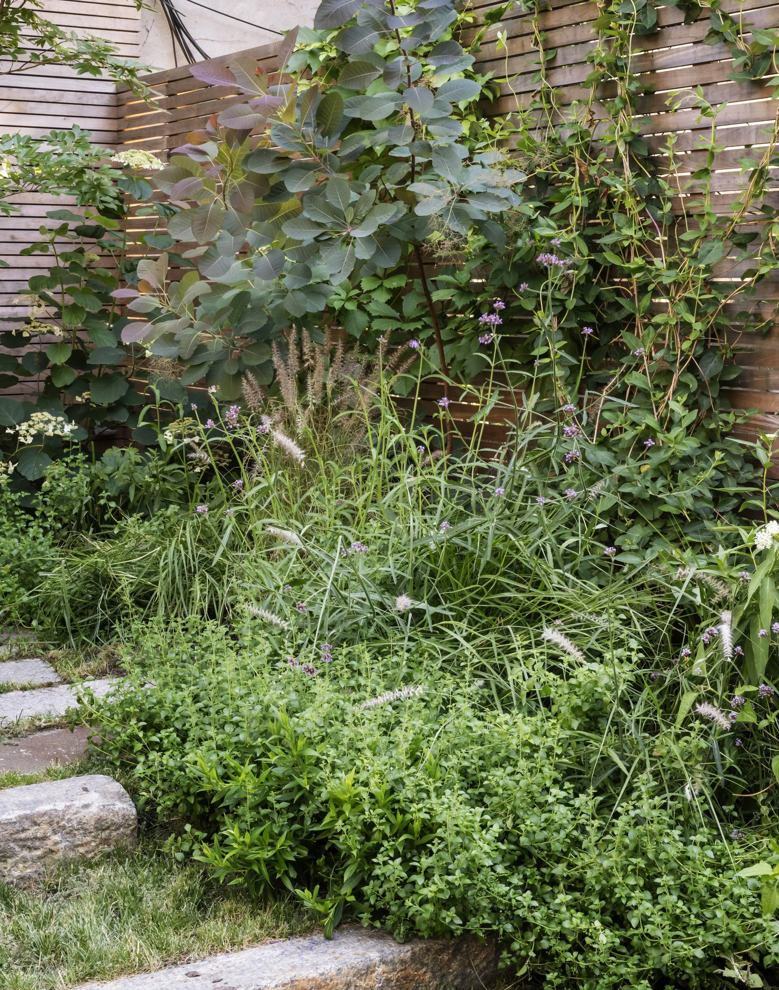 Townhouse Gardens.jpeg