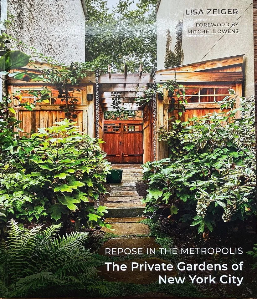 book repose in the metropolis