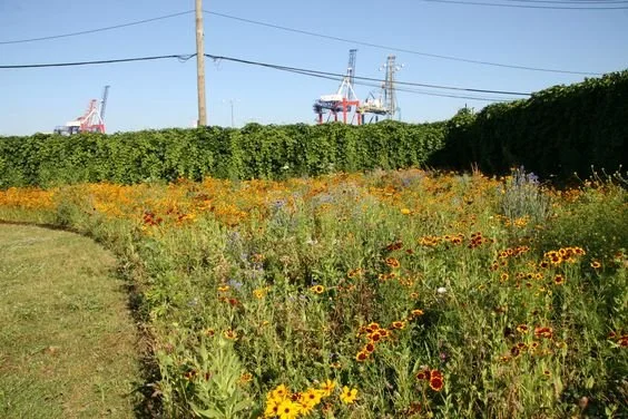 Urban Meadow XS Space and Balmori copy.jpg