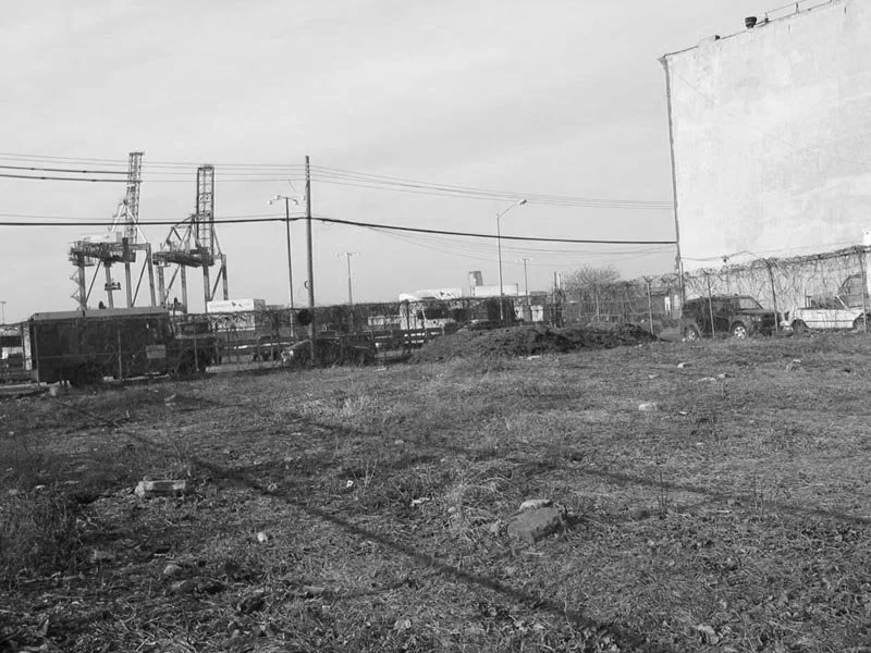 farris_beforeurbanmeadow.jpg