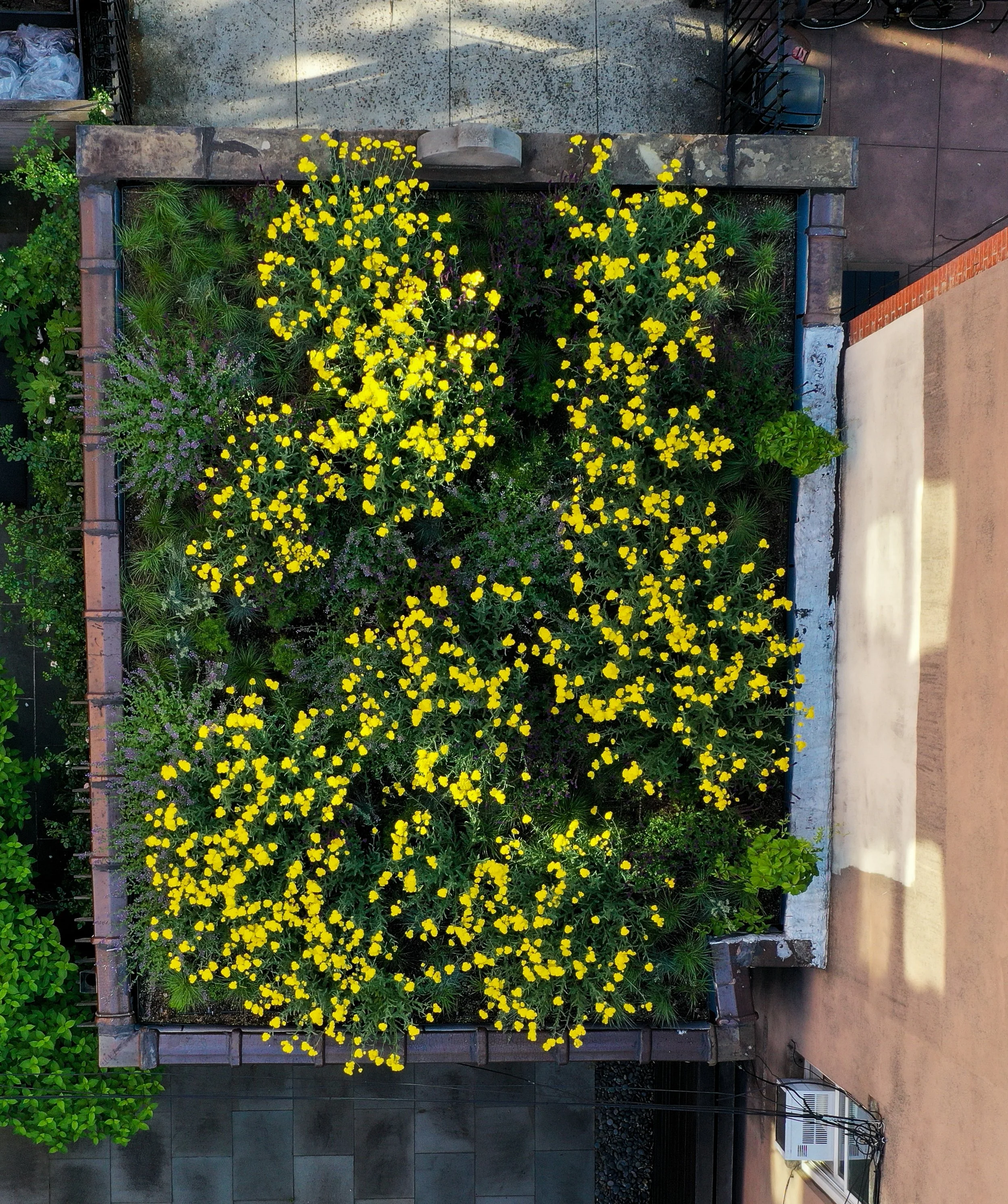 11_CobbleHillRooftopdronephoto.jpg