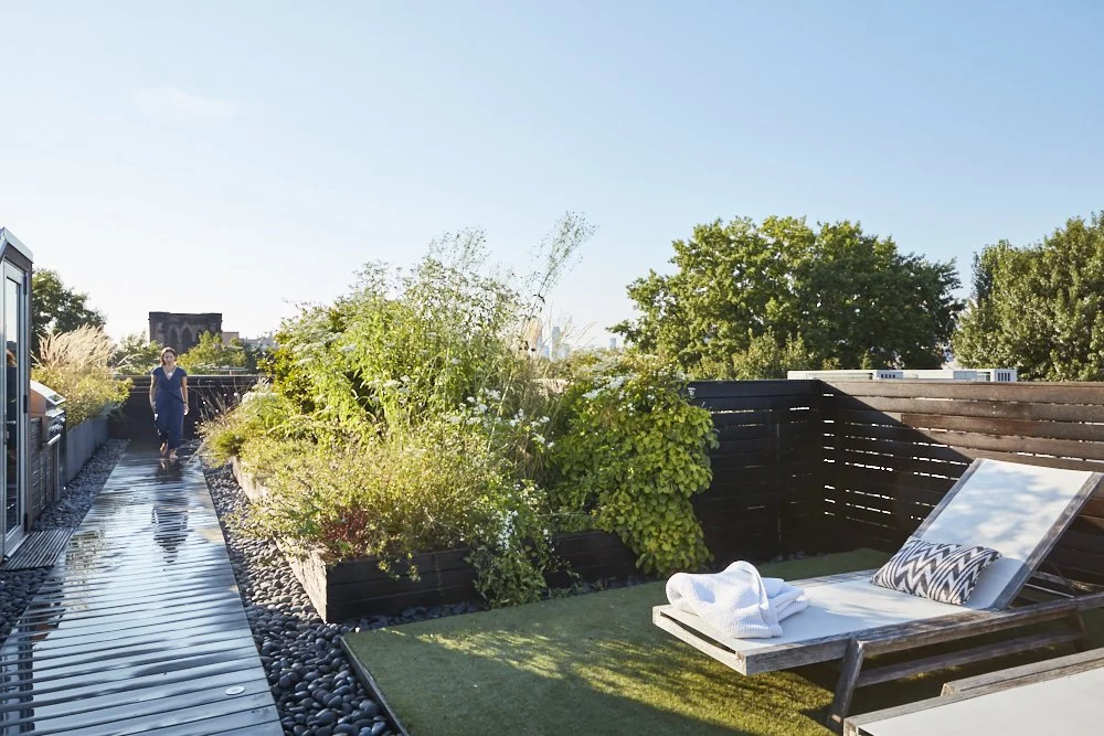 landscape design julie farris.jpg