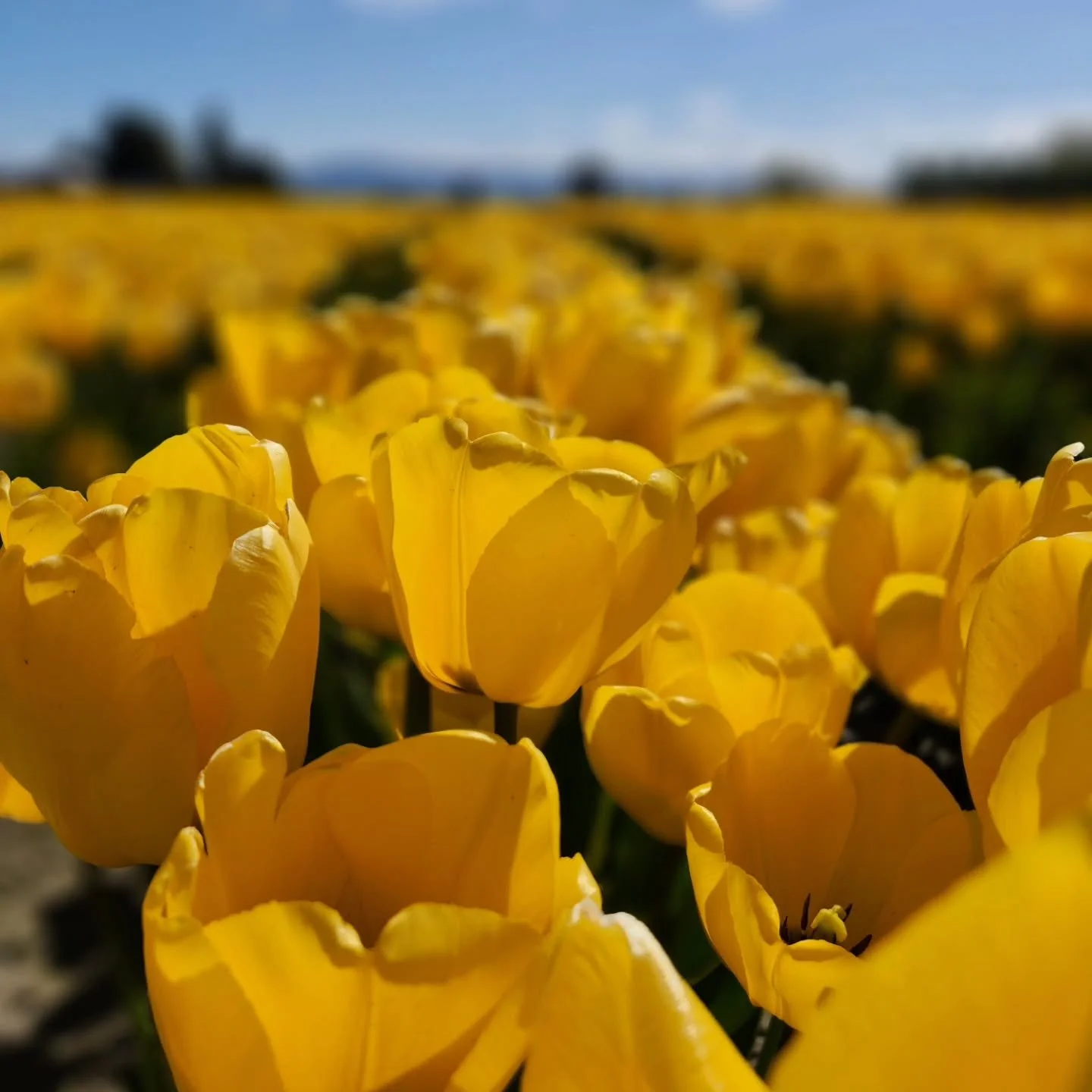 17 years, baby.

Our daughter Maddin would be 17 today.

So many chapters begin for us on this sacred date, today we are packing to move to our next adventure in the Pacific Northwest.

I don't even feel like I have enough words, just some tears.

Sh