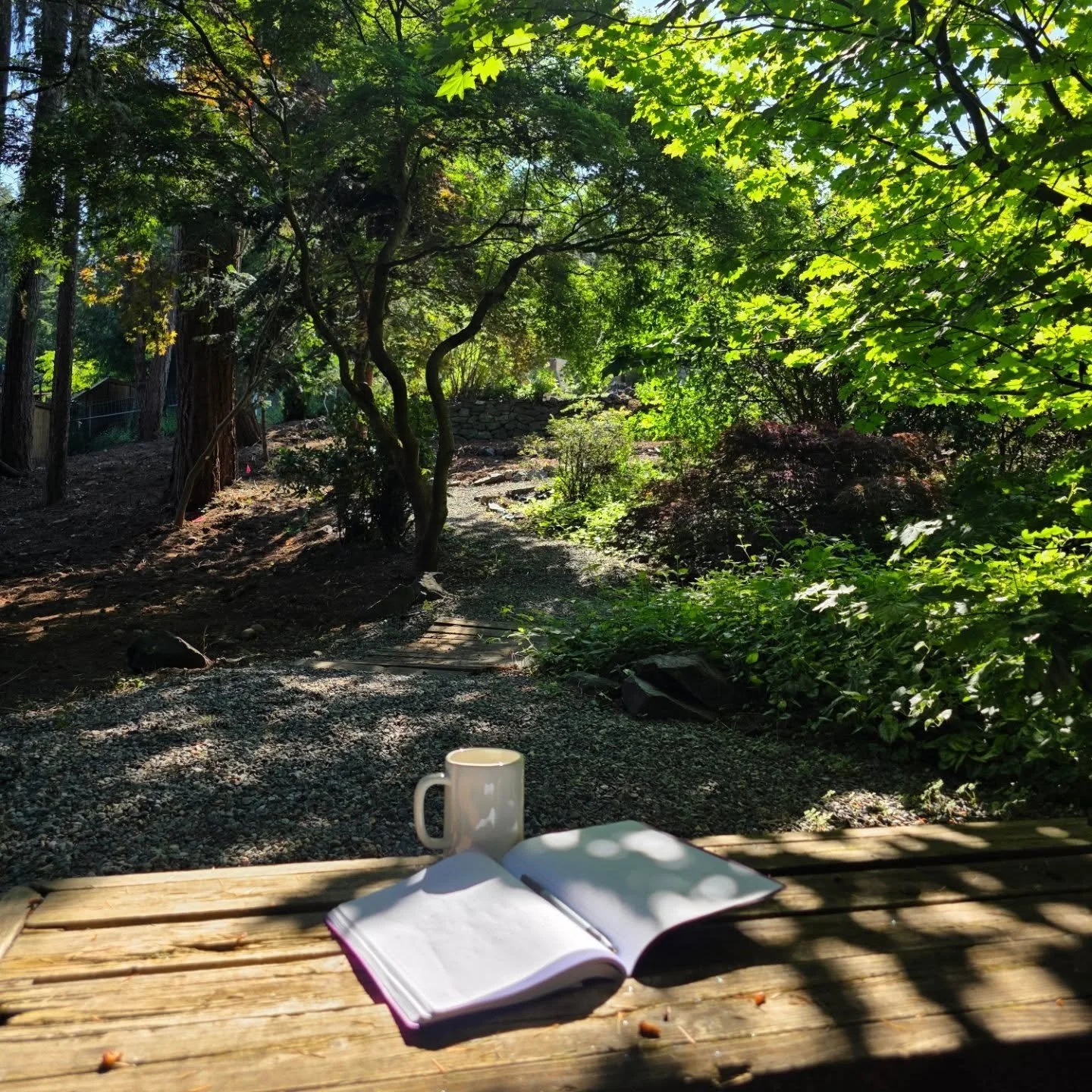 They've been secret keeping.

The people who sold us the story that the Pacific Northwest is All Rain All The Time.

#WitoWA #Deepening #Enough #Relief