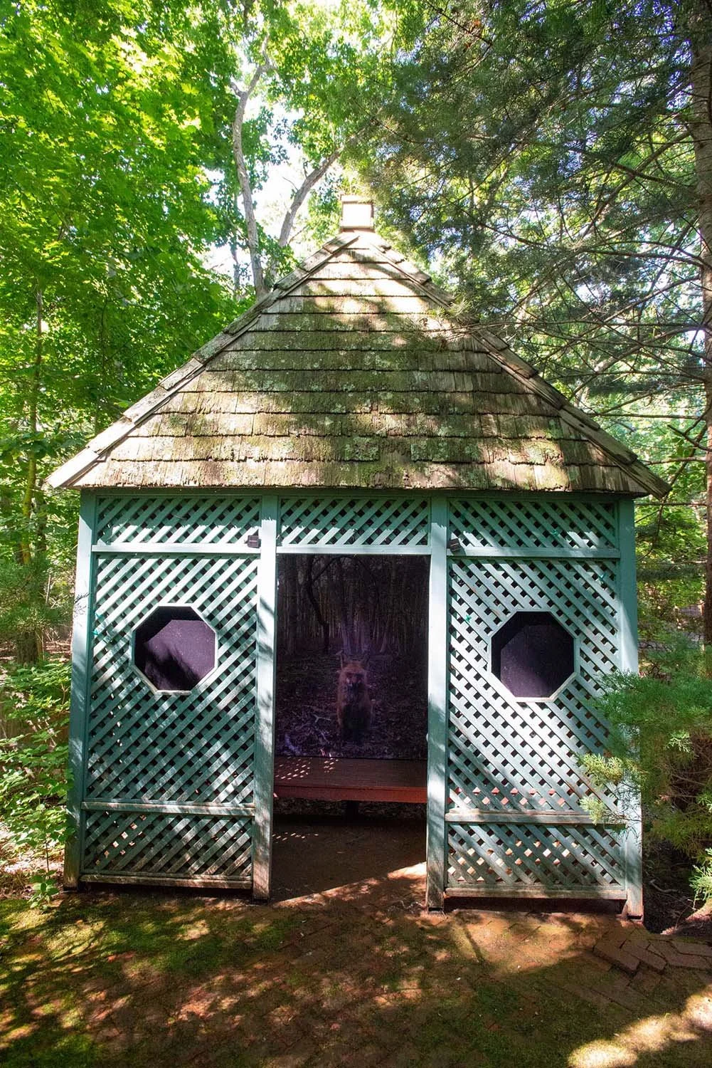 A small garden shed with a brown shingled roof, surrounded by green trees. It has lattice sides with two octagonal openings and a screened opening in the middle, through which a dog is visible.