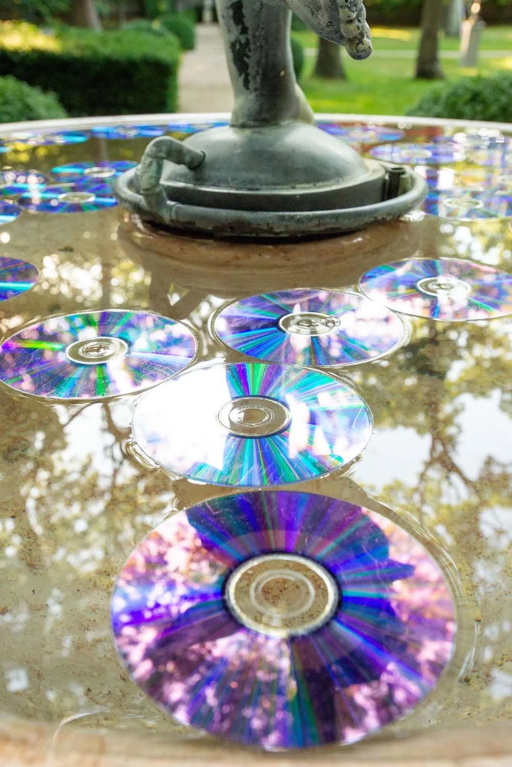 A fountain with CDs floating on water, reflective surface showing trees and sky, outdoors in a park.