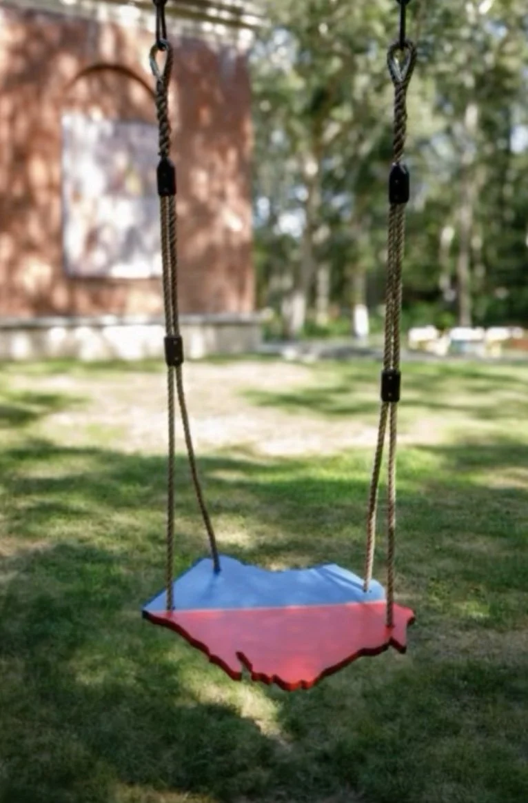 A swing with a red and blue seat shaped like the state of Georgia, hanging from two ropes in a park setting.