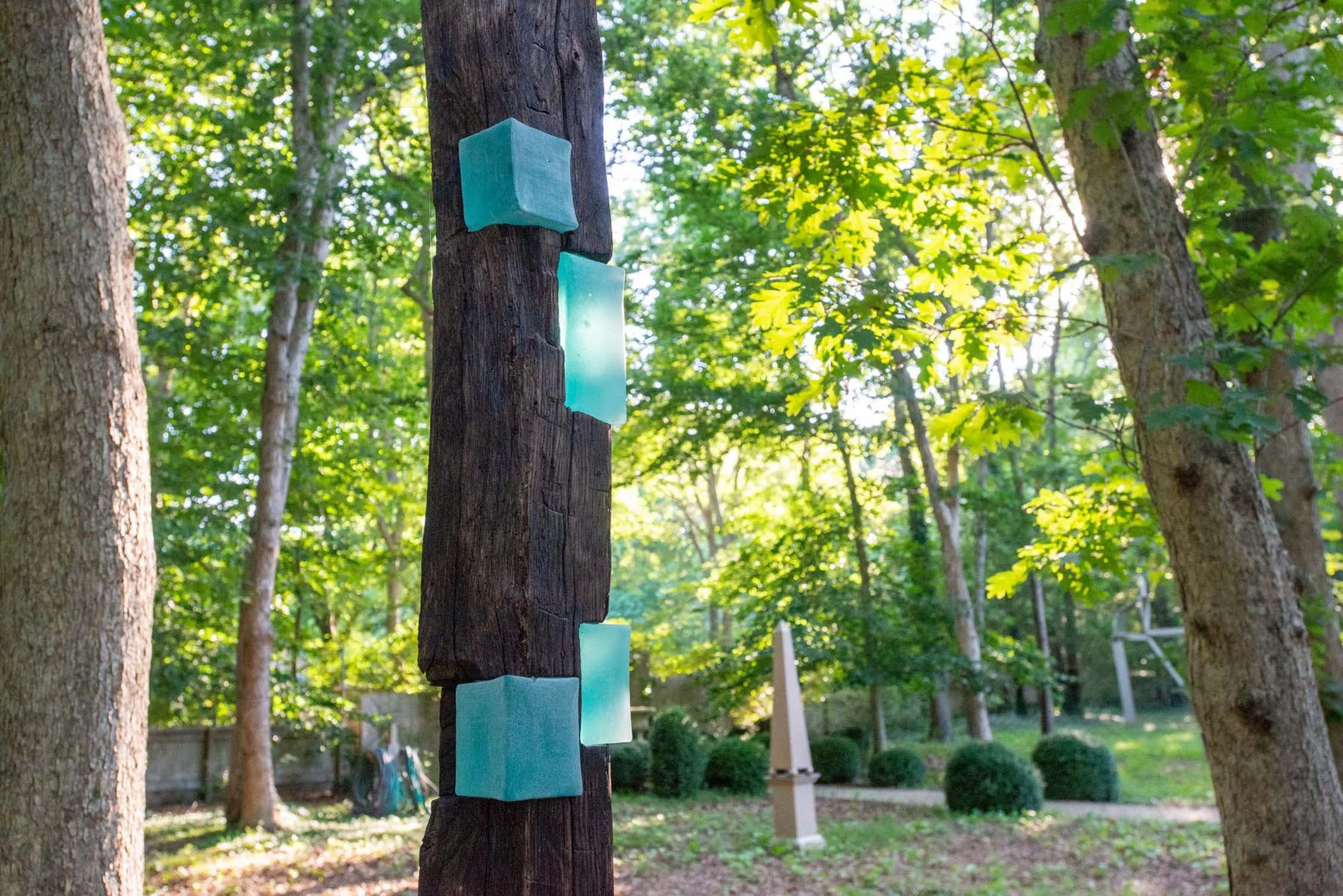 Colorful square and rectangular sculptures attached to a tree trunk in a forest setting with green trees and bushes.