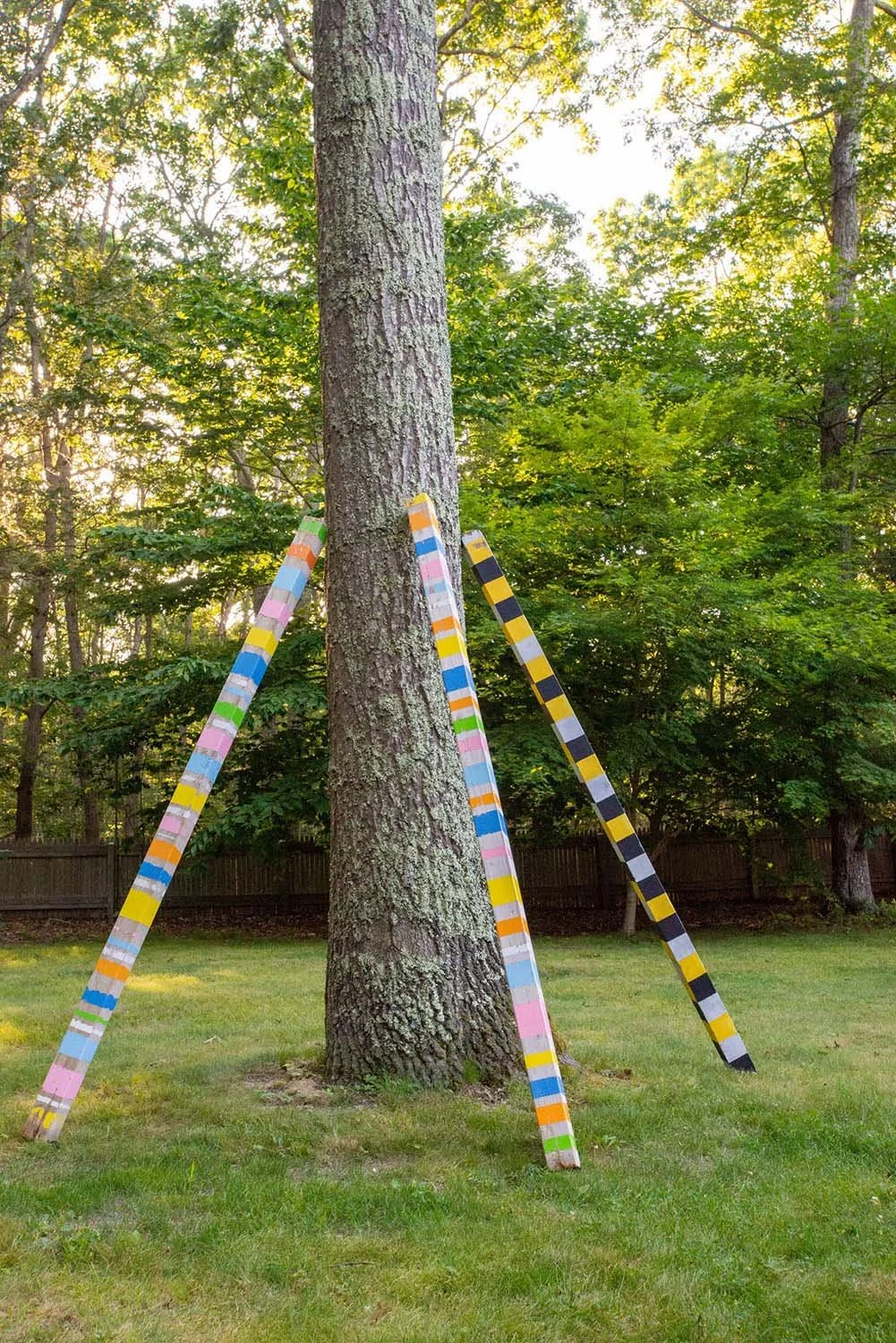 Colorful painted wooden planks leaning against the trunk of a large tree in a backyard with green grass and a wooden fence in the background.