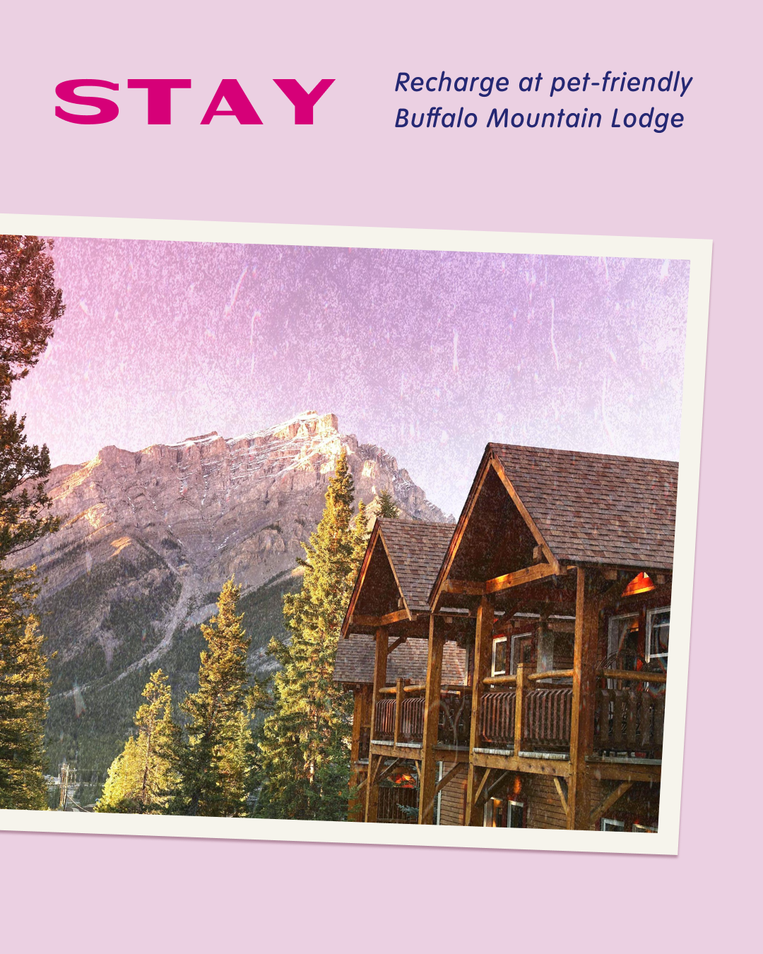PPU_Banff Slide 2_1080x1350.png