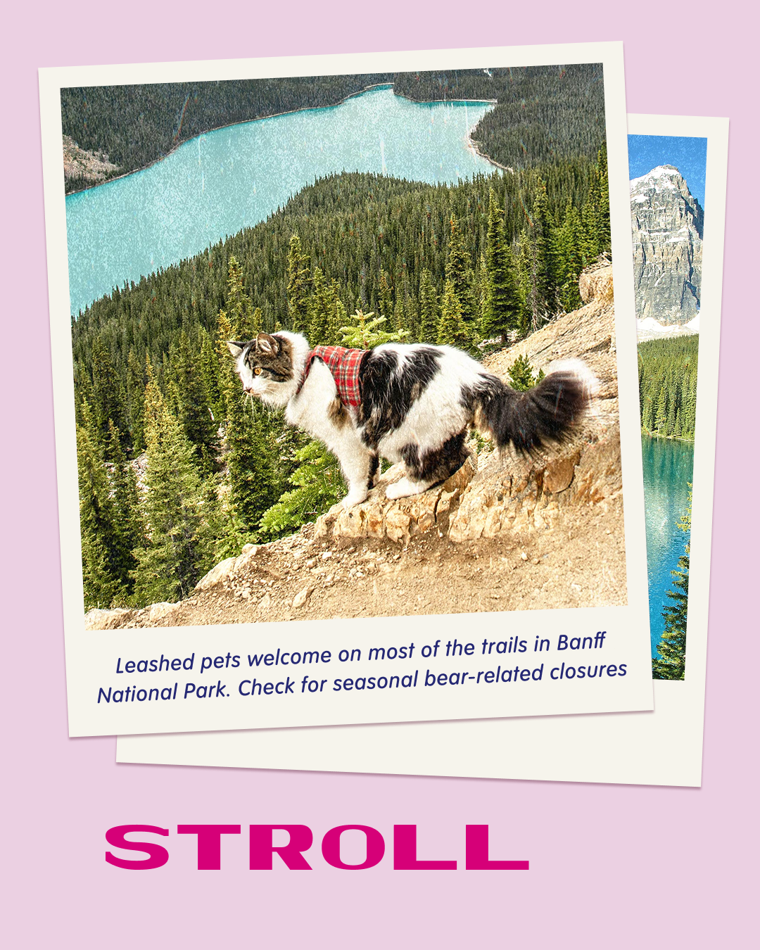 PPU_Banff Slide 3_1080x1350-1.png