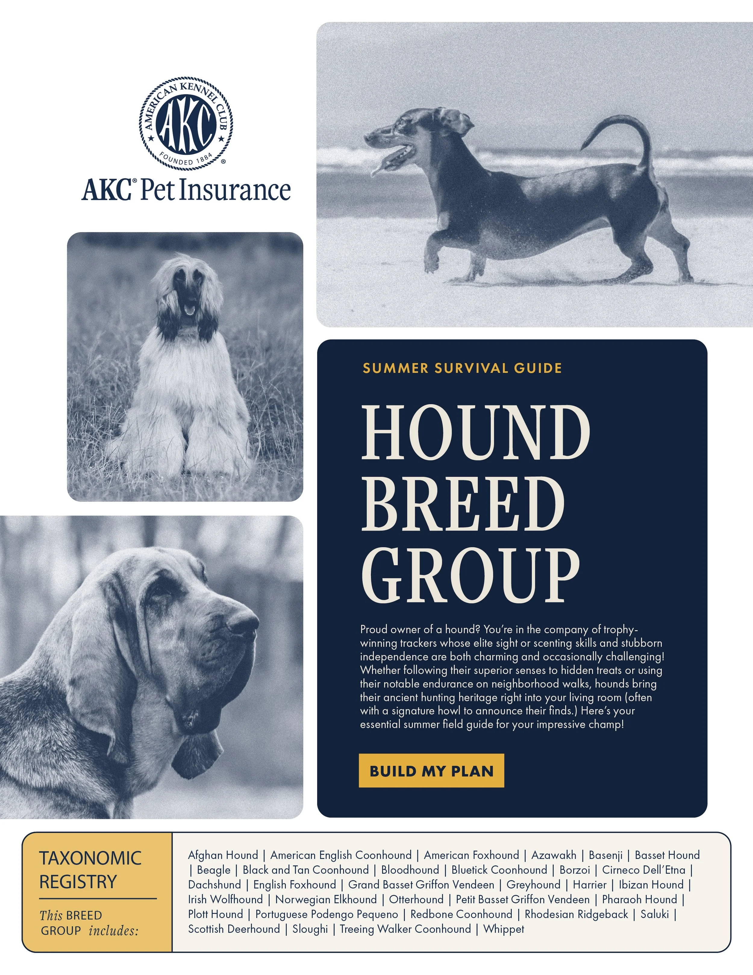 AKC Breed Group Handbook_Buttons3.jpg
