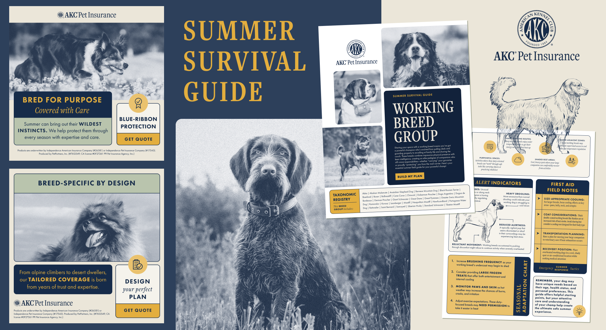 AKC_Summer Survival Guide.png