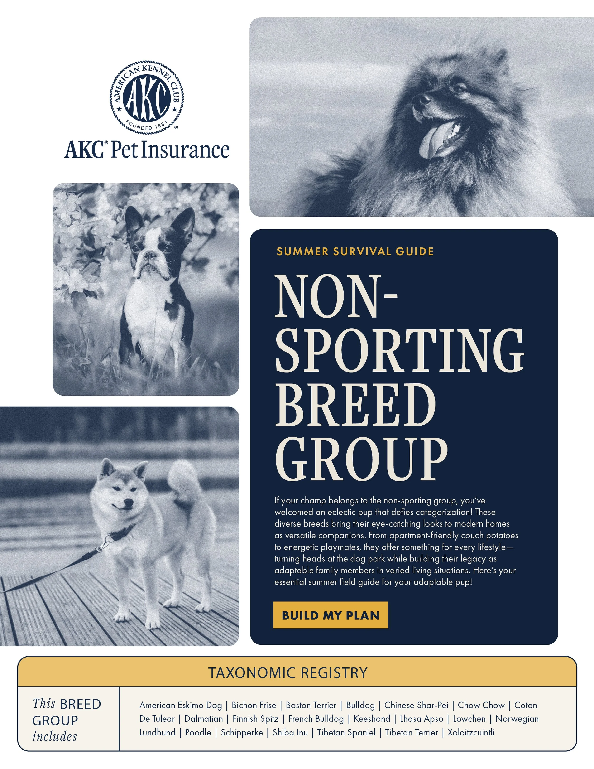 AKC Breed Group Handbook_Buttons7.jpg