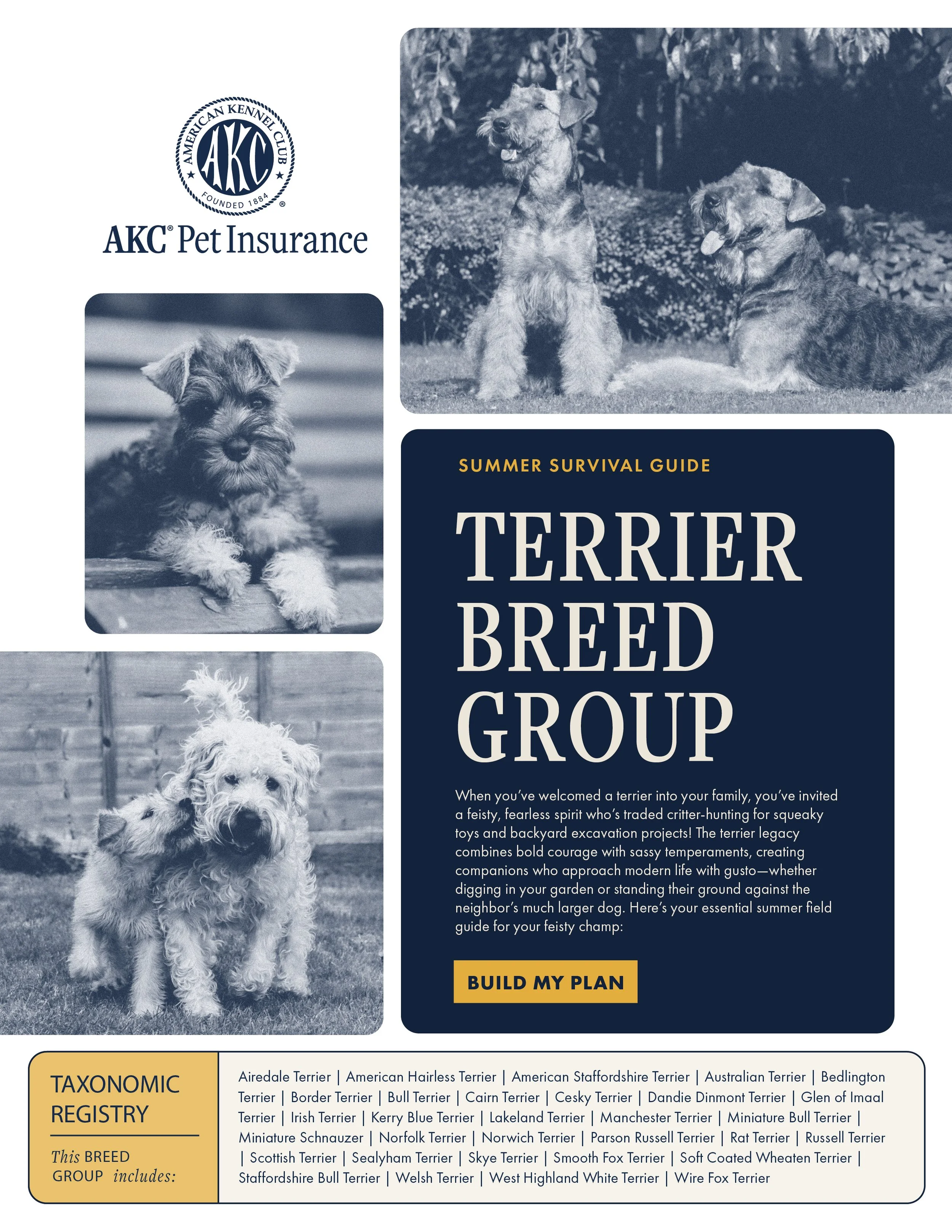 AKC Breed Group Handbook_Buttons11.jpg