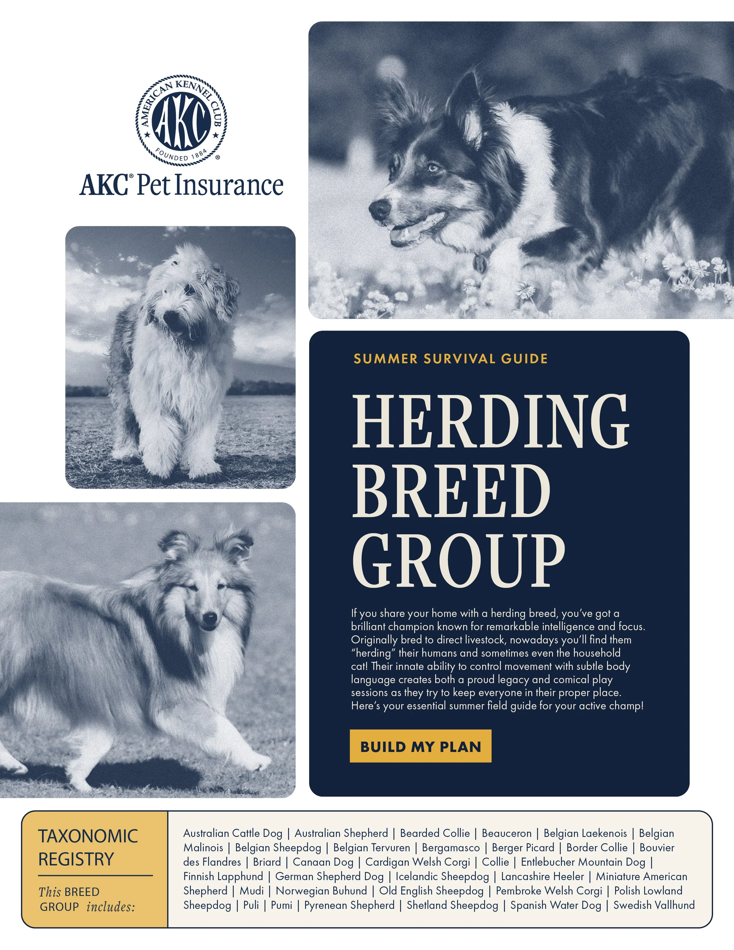 AKC Breed Group Handbook_Buttons.jpg
