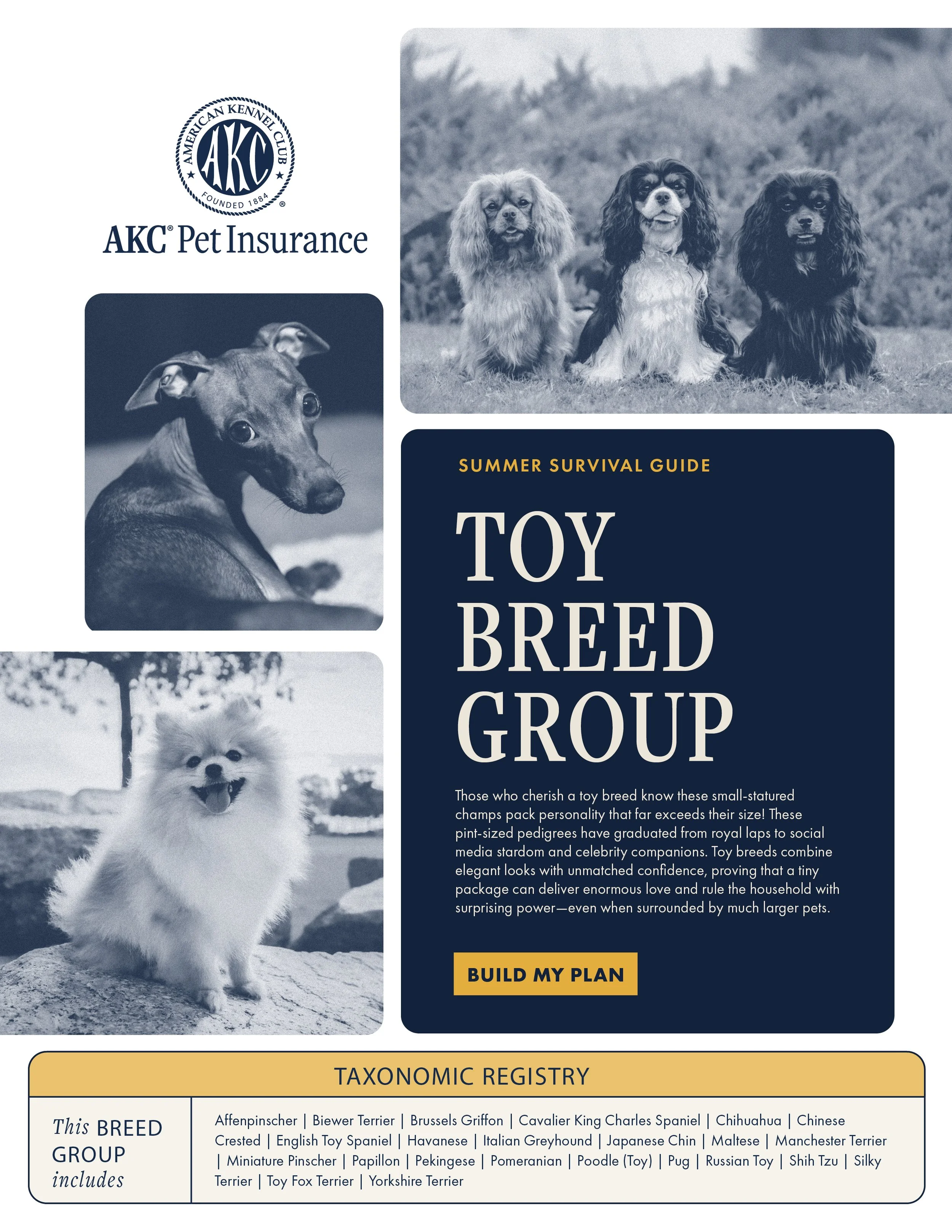 AKC Breed Group Handbook_Buttons5.jpg