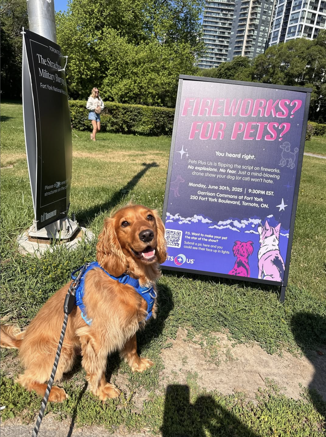 Screenshot 2025-07-18 at 11.14.12 AM.png