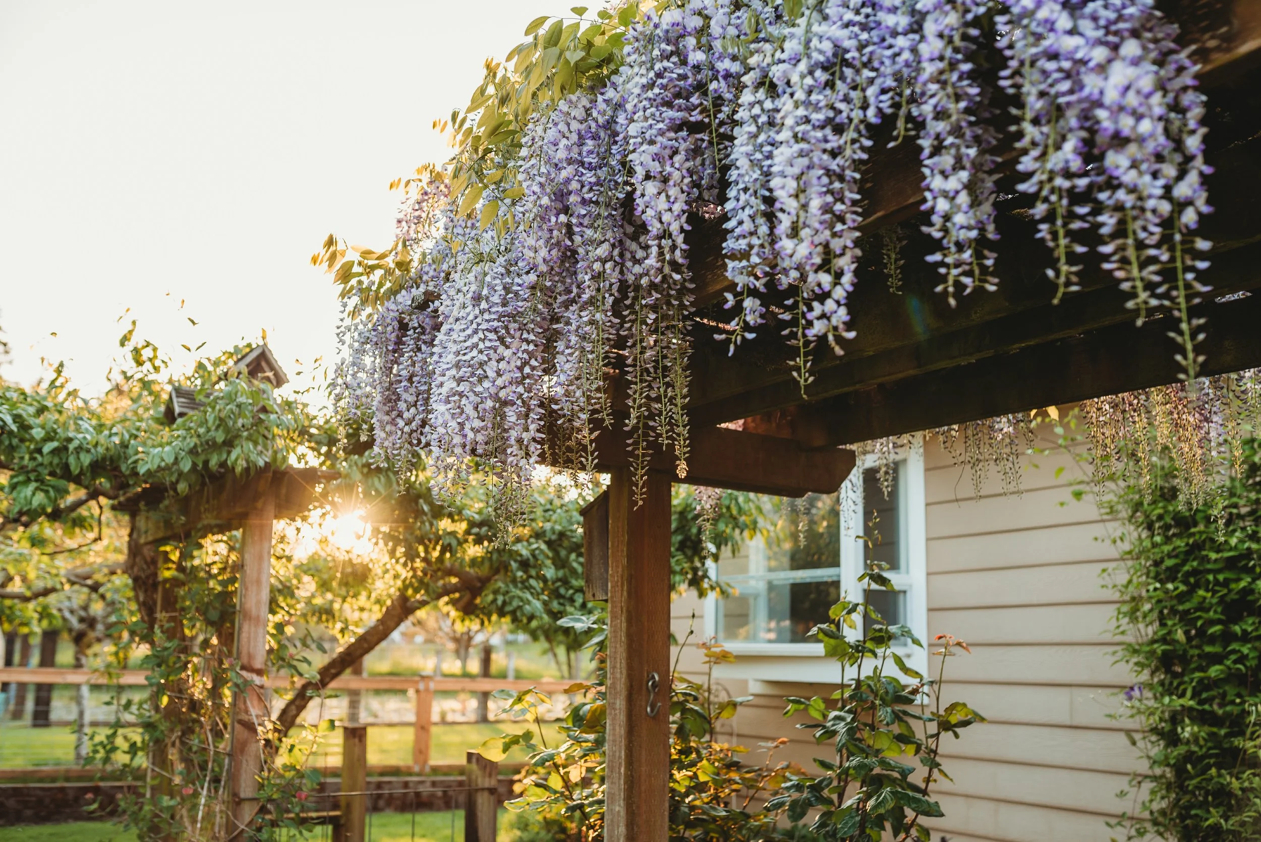 Andrea_Hamre_Real_Estate_Agent_Tacoma_Farm_on_Acreage_Thompson_Wisteria-22.jpg