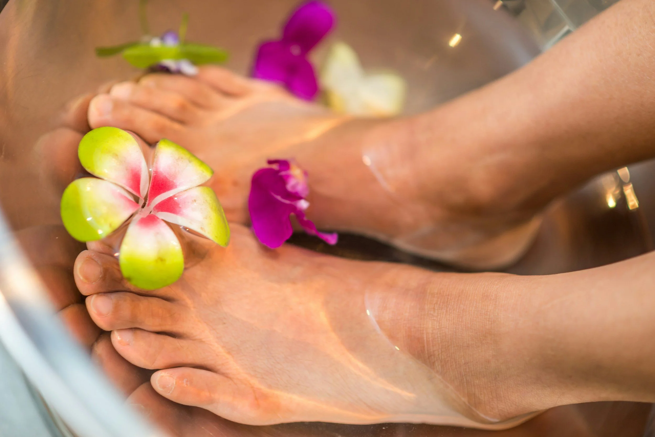 Person soaking feet in water with colorful flower petals and a succulent plant