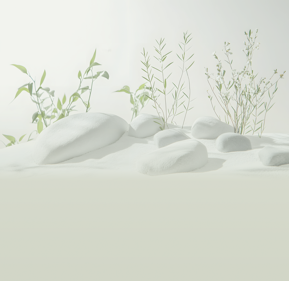 Green plants and smooth white stones in soft natural light, a calm setting for clinical hypnotherapy