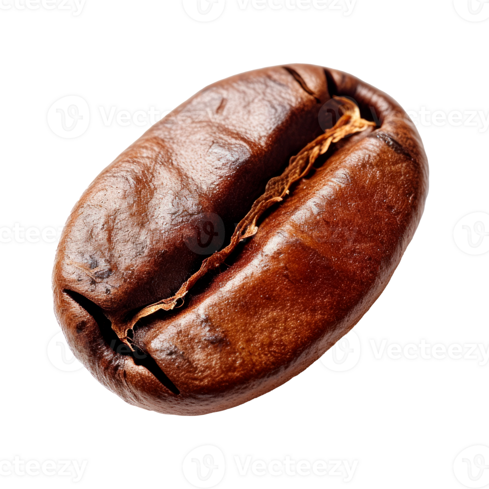 Close-up of a roasted coffee bean.