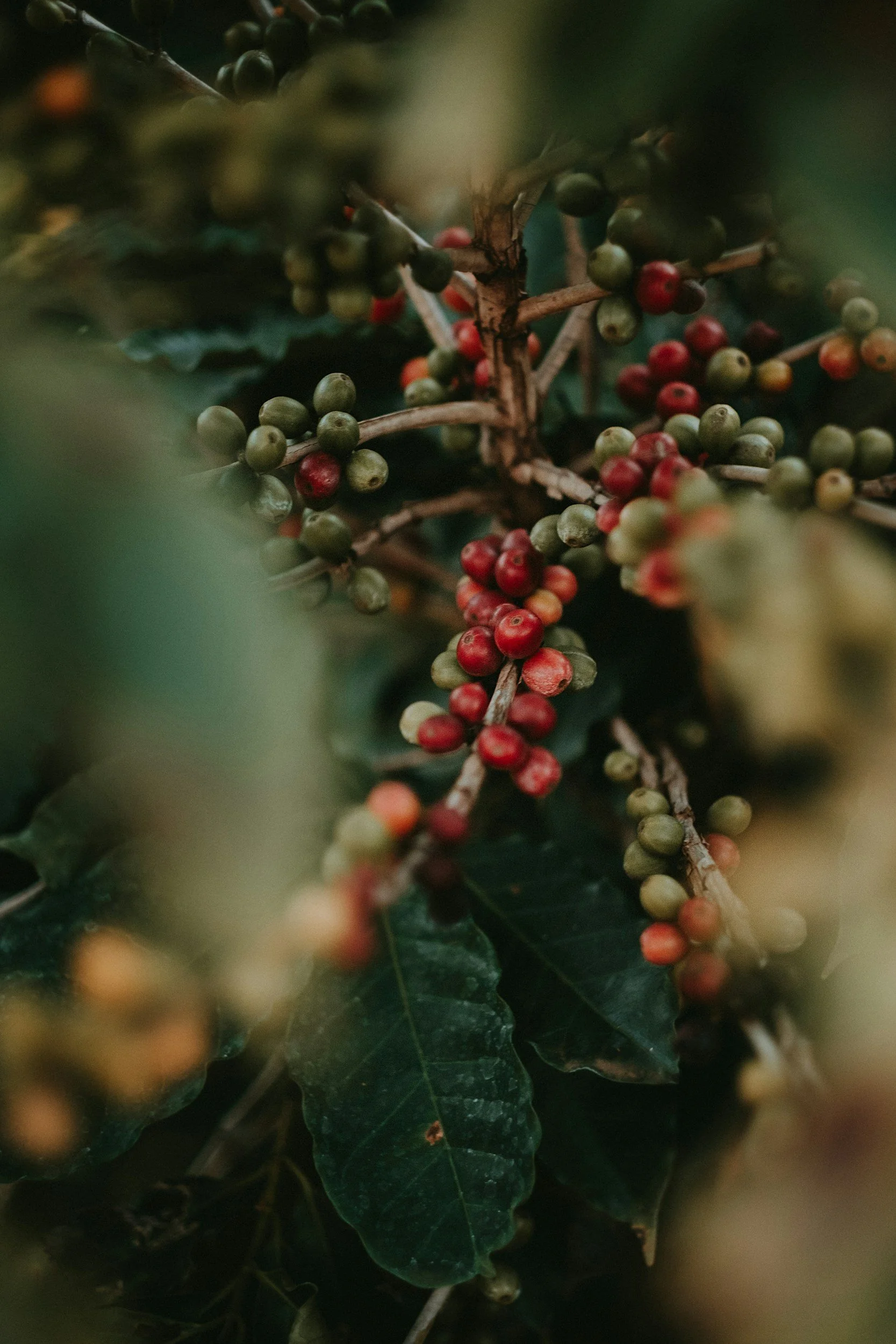 unsplash-image-vJ3KldG86Eo.jpg
