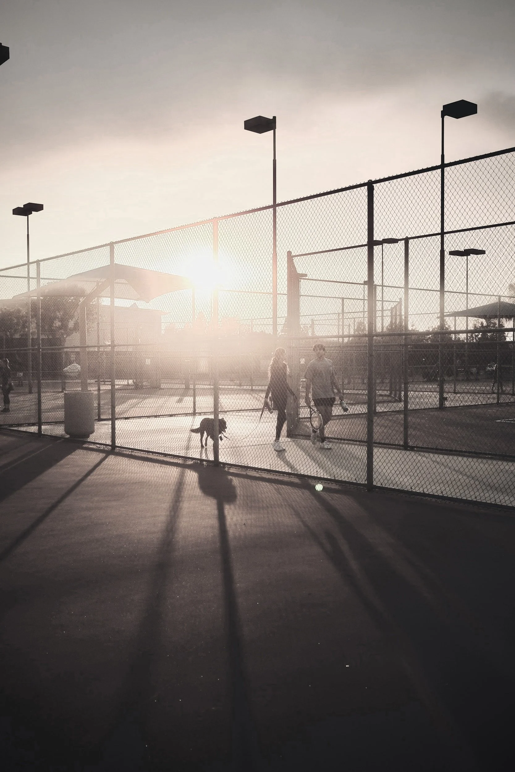 Two people walking with a dog on a pickleball court during sunset.