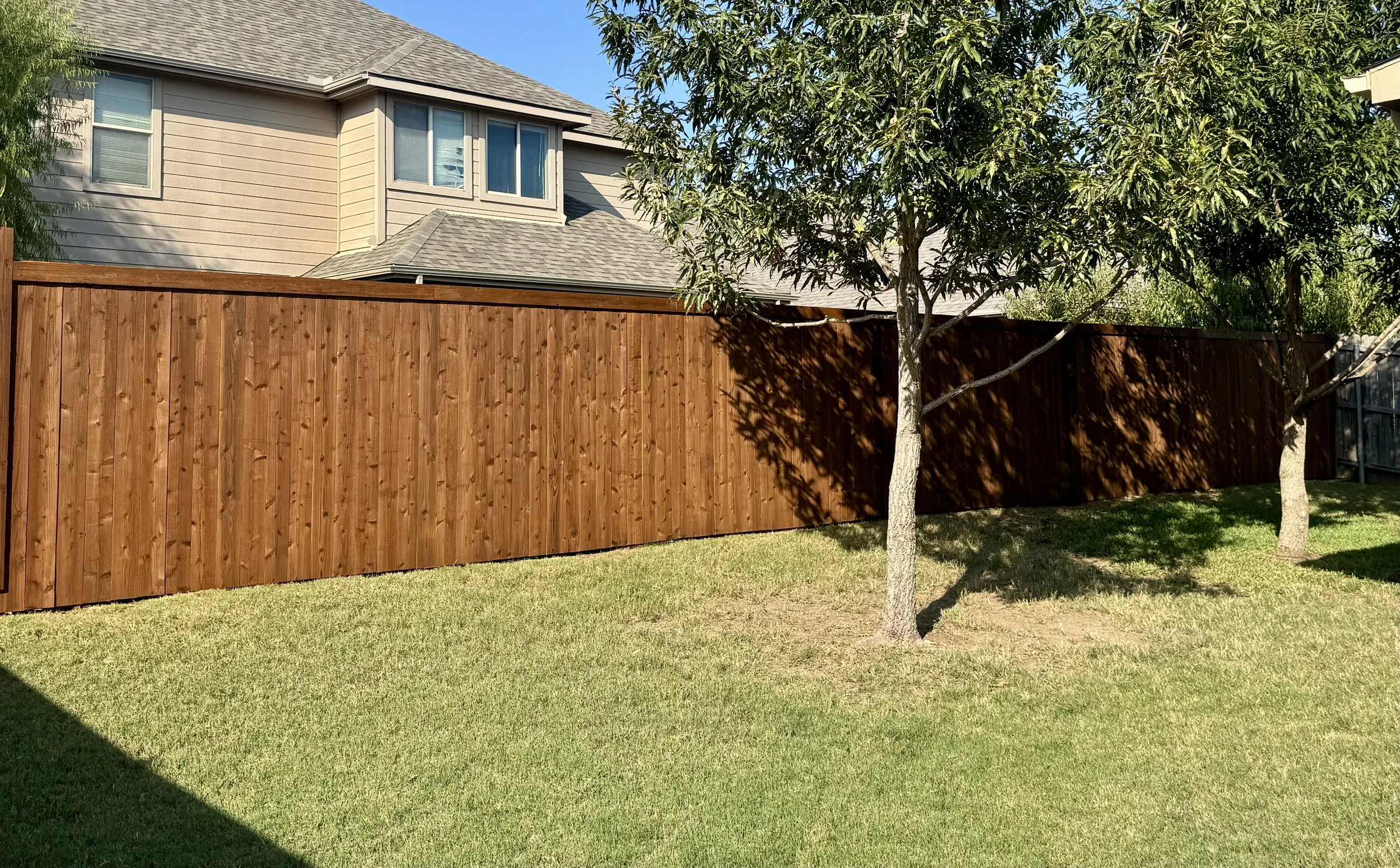 Residential backyard with green grass, mature trees, a brown wooden fence, and a two-story house with beige siding and multiple windows in the background.
