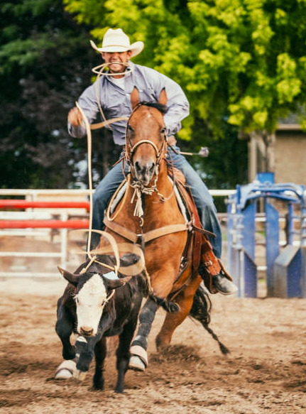 Live Calf Wrangling at Lake Weiss Destinations