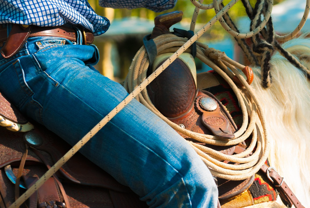 Live Horse Lasso Training at Lake Weiss Destinations
