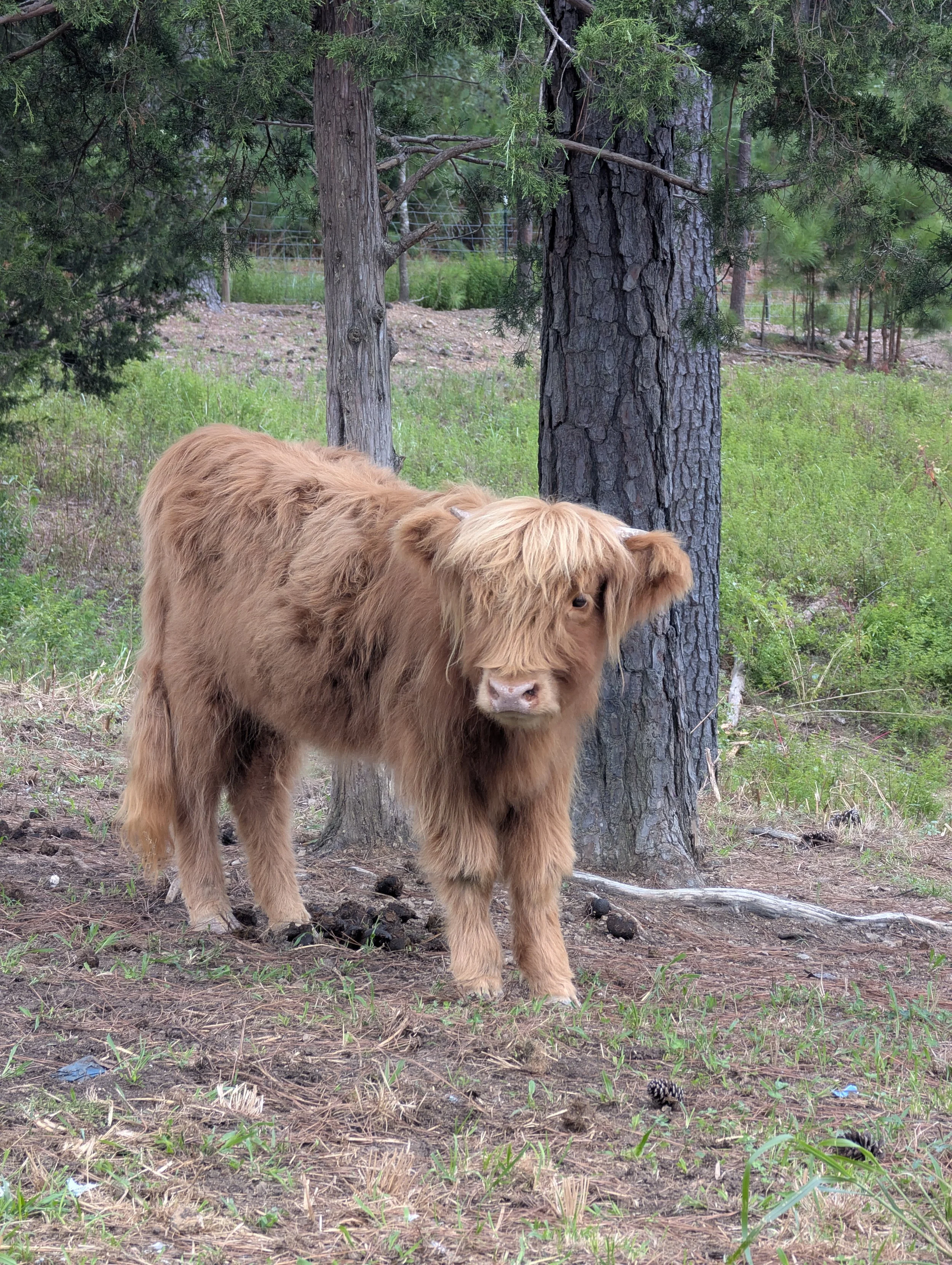 Rivers Edge and Hunters Haven Retreat Activities