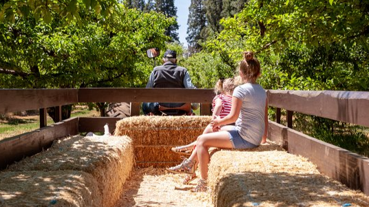 Family Hayride at Lake Weiss Destinations
