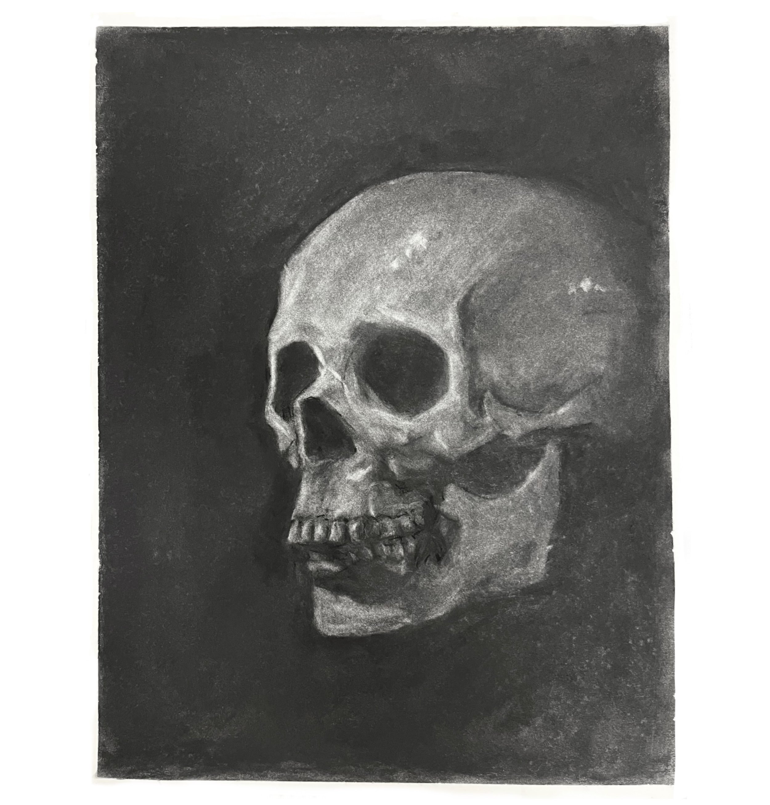 Skulled - 3 Hour Charcoal Reductive - 2024