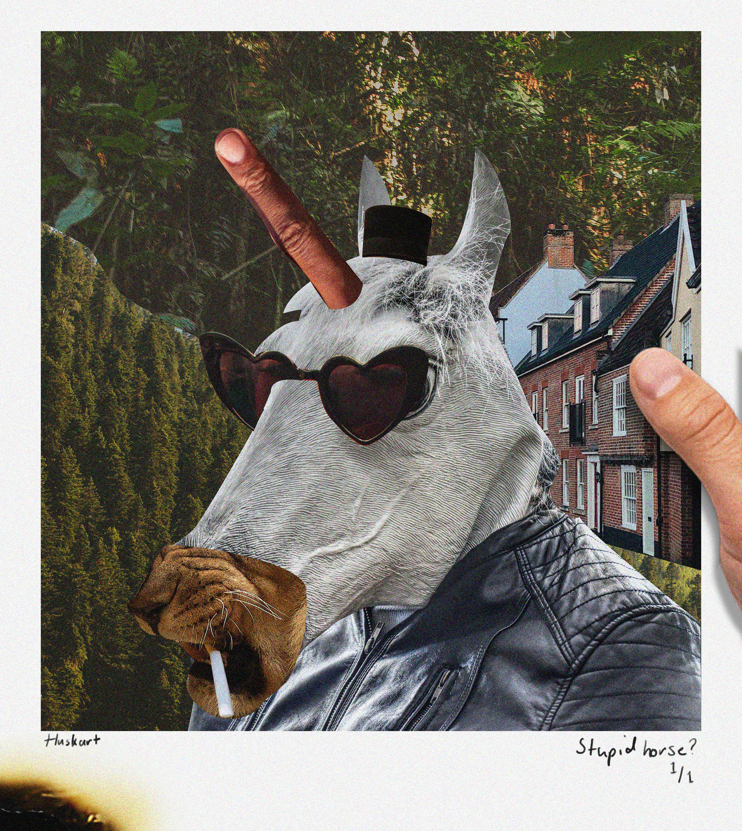 Stupid Horse - 2022