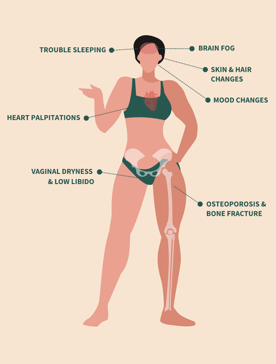 A diagram illustrating menopause and perimenopause symptoms including weight gain, brain fog, and body changes that respond to hormone therapy in Boulder.