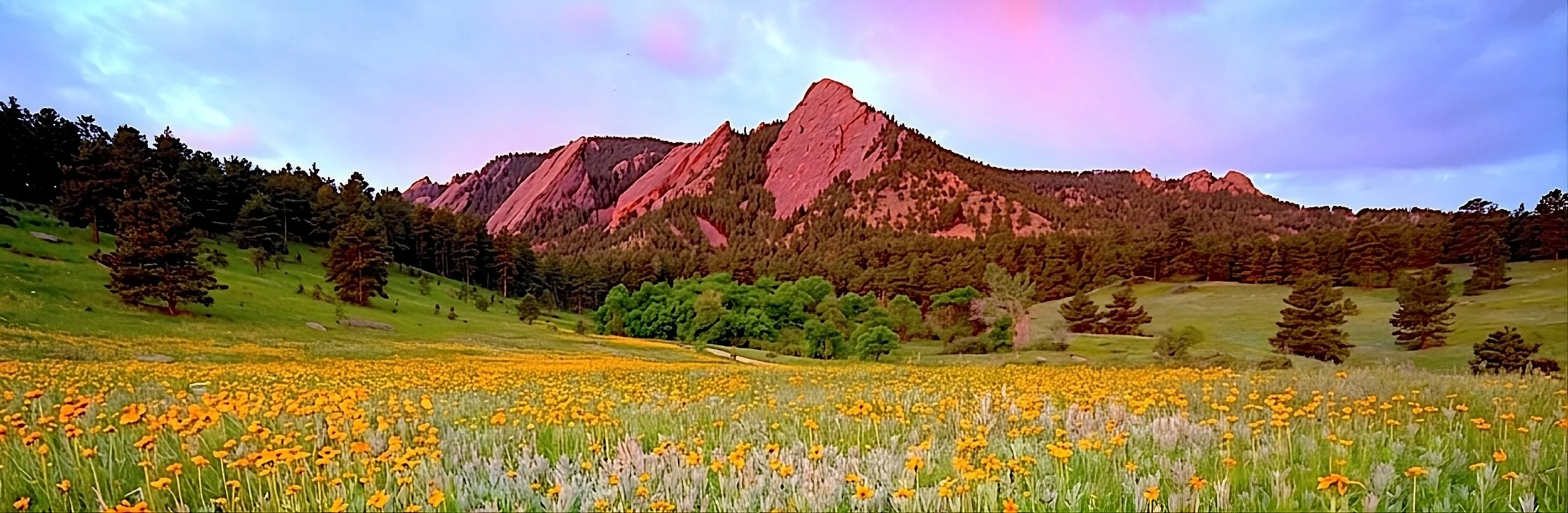 View of the Boulder Flatirons and wildflowers at Radiant Health, featuring FAQs on menopause care, HRT, and medical weight loss with Kari Waddell, MSCP.