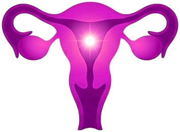 Uterus icon signifying expert perimenopause and menopause care with HRT at Radiant Health for Women.