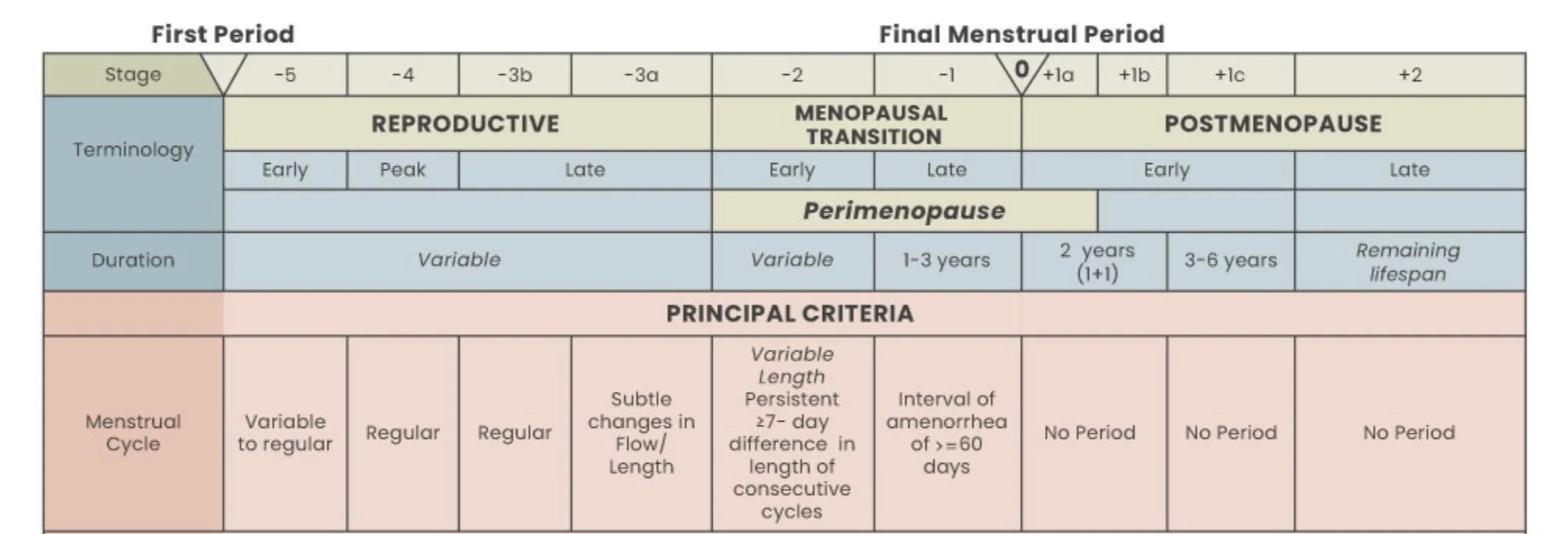 Stages of Perimenopause and Menopause