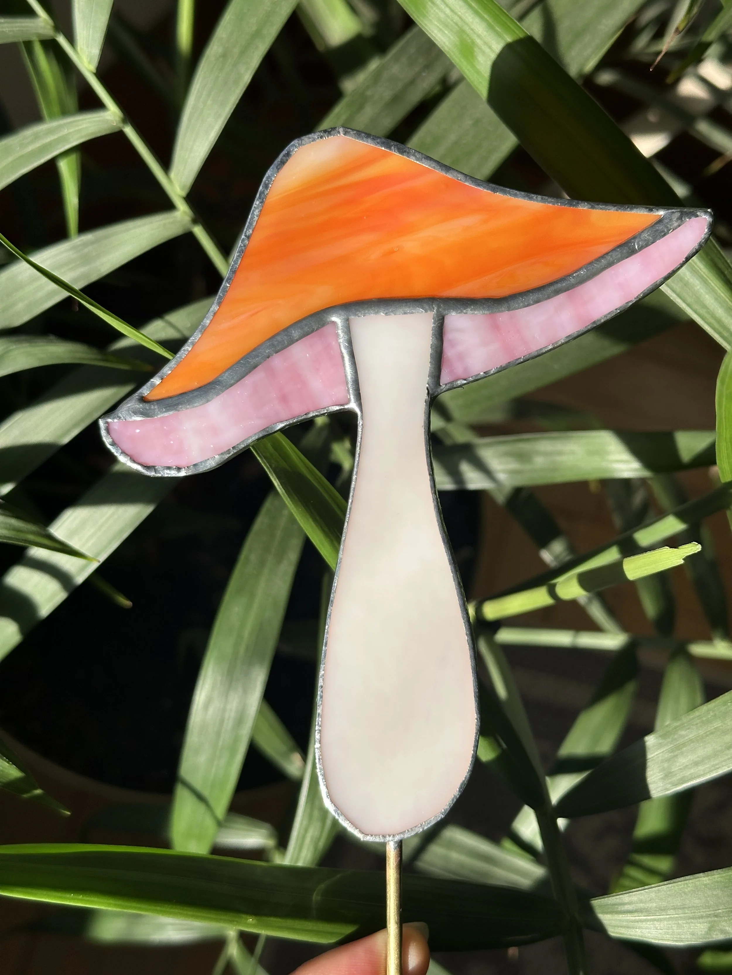 Mushroom - Tall Wavy
