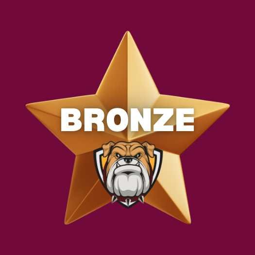 Bronze Sponsorship