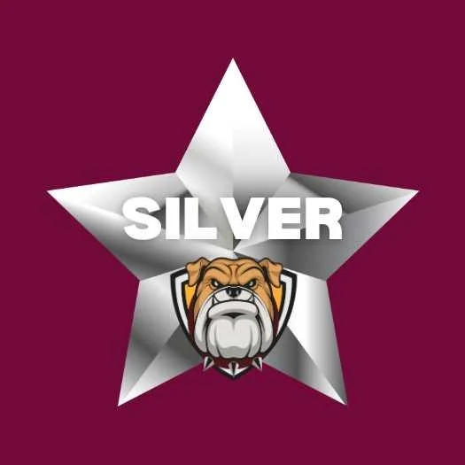 Silver Sponsorship