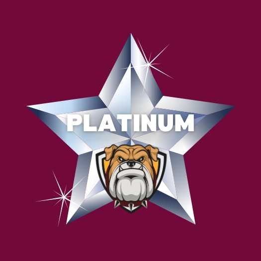 Platinum Sponsorship