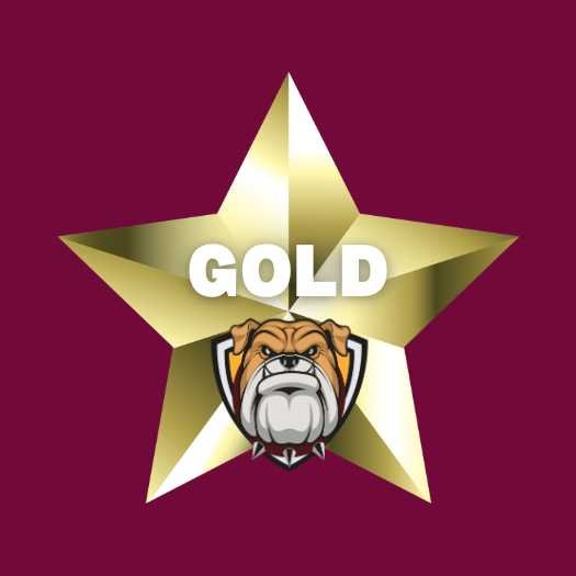 Gold Sponsorship