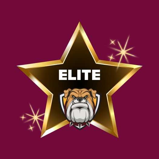 Elite Sponsorship