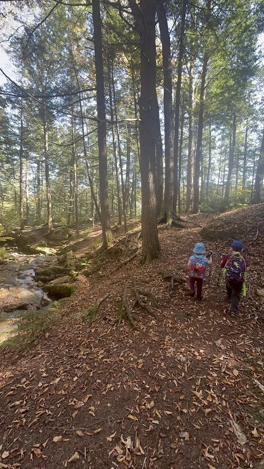 My Niece &amp; Nephews' First Hike