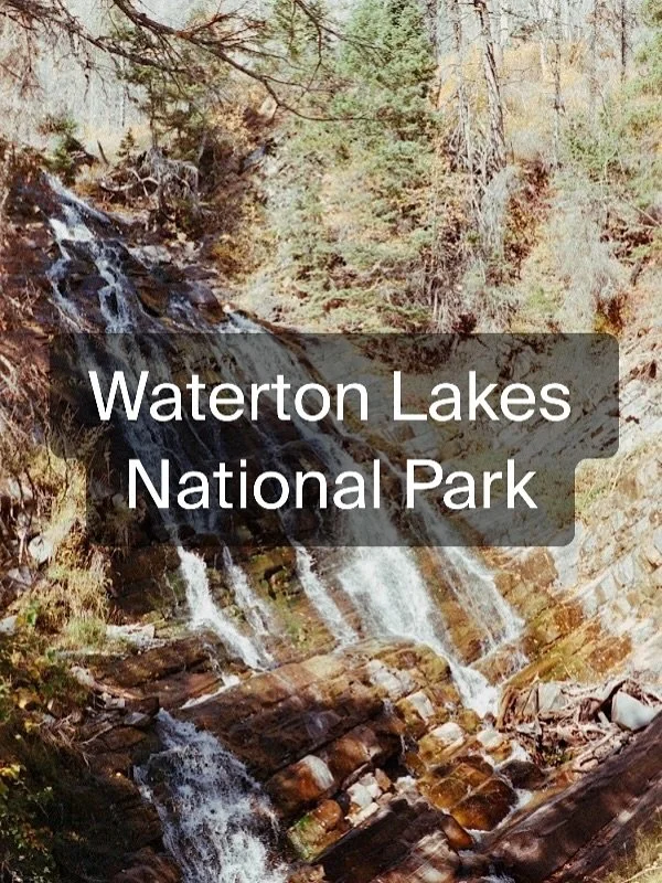 The view while backpacking with our dog to a backcountry campsite in Waterton Lakes National Park. 

Dogs are allowed to go with you anywhere you go in Canada&rsquo;s National Parks. It&rsquo;s important to know the rules of all parks before you brin